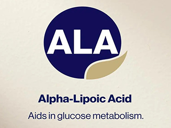 Can Alpha Lipoic Acid Powder Improve Metabolism?